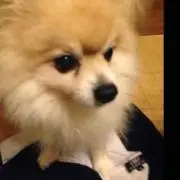 mamaの画像