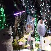 @プライズの画像