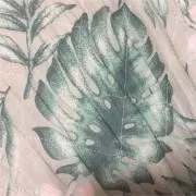 シルバーヘッケルの画像