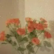 @am-an♡の画像