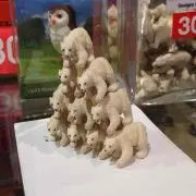 くま。の画像
