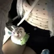ここっぺの画像