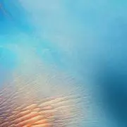 のるん