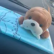 ピルクルの画像