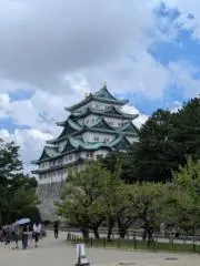 きーの画像