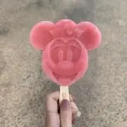 わんの画像