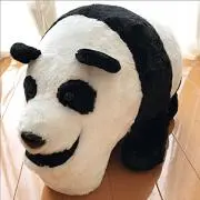 ぜんさんの画像