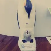 にしんの画像