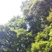 峠の我が家の画像