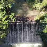 NBの画像