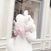 てぃむの画像