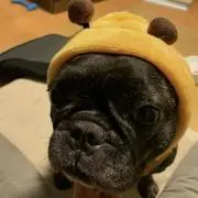 みほ