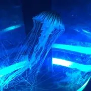 バッサー0501