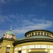 バウムの画像