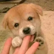 GABU