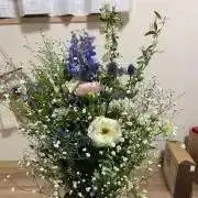 めめこ（おまとめ割します）の画像