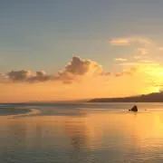 あこ