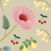 コヤ！の画像