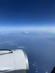 はにわちゃんの画像