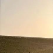 weの画像