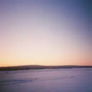 shinの画像