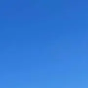 スミレの画像