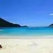 のやの画像