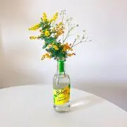 ろたの画像