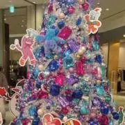 sakuraの画像