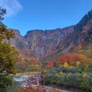 ういんぐの画像