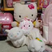 yuaの画像
