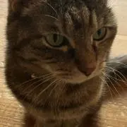 たかちゃんの画像
