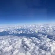 ゆりこの画像