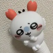 マロニーピグの画像