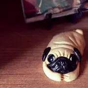 ちーちゃん