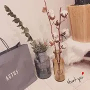 なつき