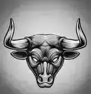 ーーーーーーBULLSーーーーーーの画像