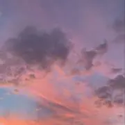 こんの画像