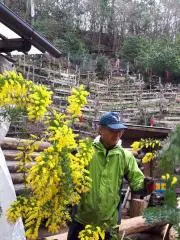 ふたば(火・木・土・日祝お休み）の画像