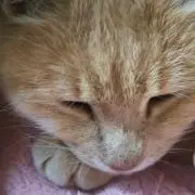 ★たんちゃん★プロフ必読★の画像