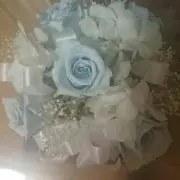 さくら☆の画像