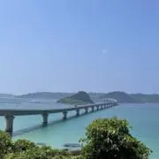 ルーツの画像