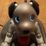papicoの画像