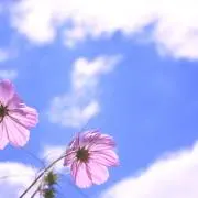 yunの画像
