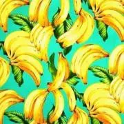 【断捨離中☺︎】くうかいの画像