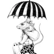 【SALE】在庫処分せーーーる】値下げ中の画像