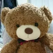 しょこたんの画像