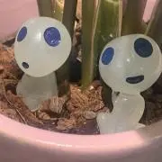 KODAMAの画像