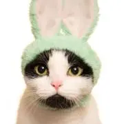Milyの画像