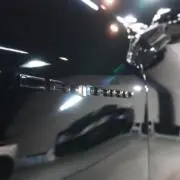 ぺんぺんの画像